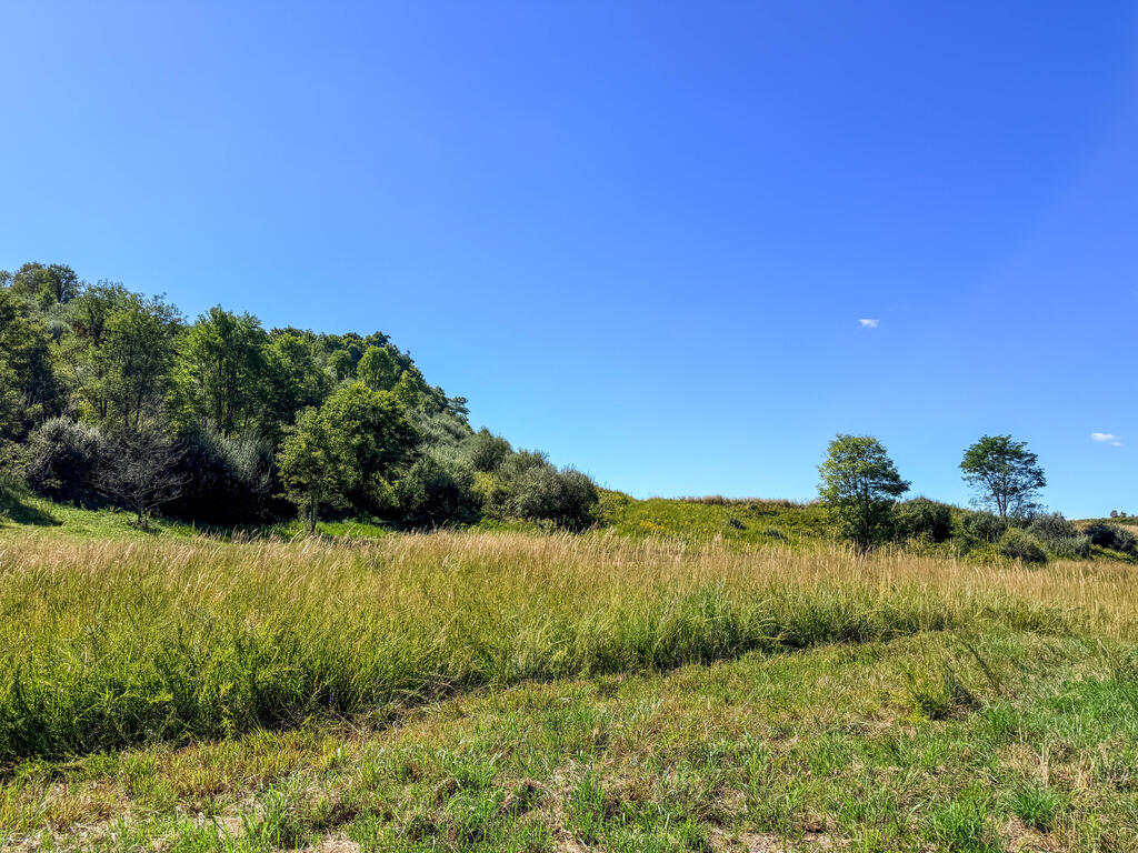 0 Us-460/coalfields Expressway Property Photo 19