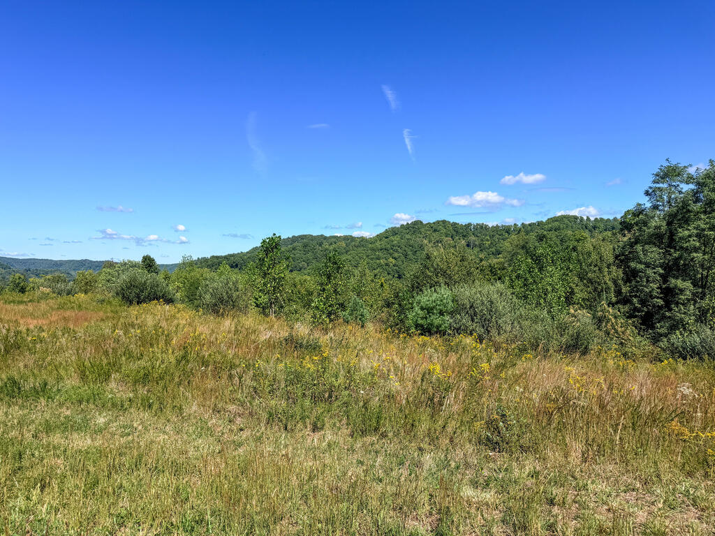 0 Us-460/coalfields Expressway Property Photo 20