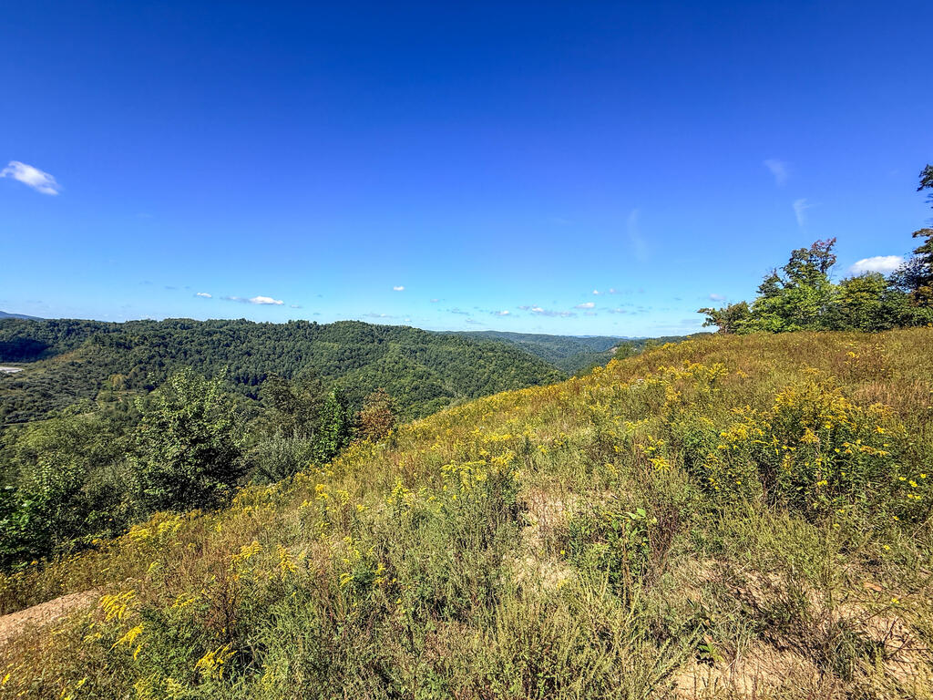 0 Us-460/coalfields Expressway Property Photo 24