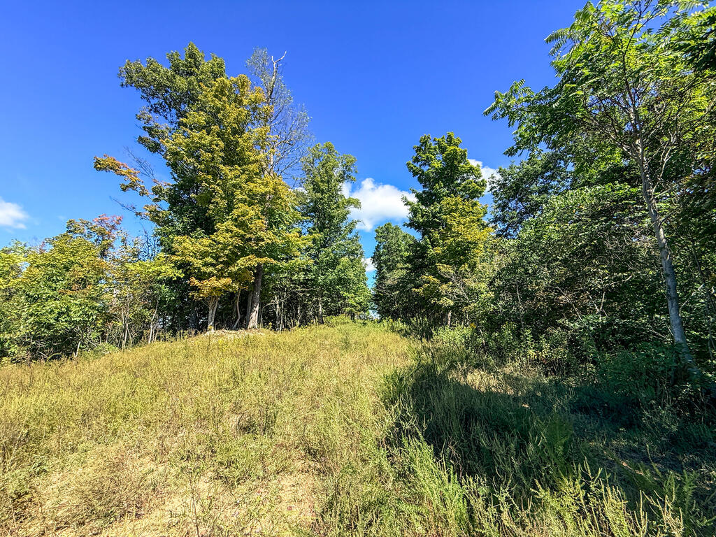0 Us-460/coalfields Expressway Property Photo 27