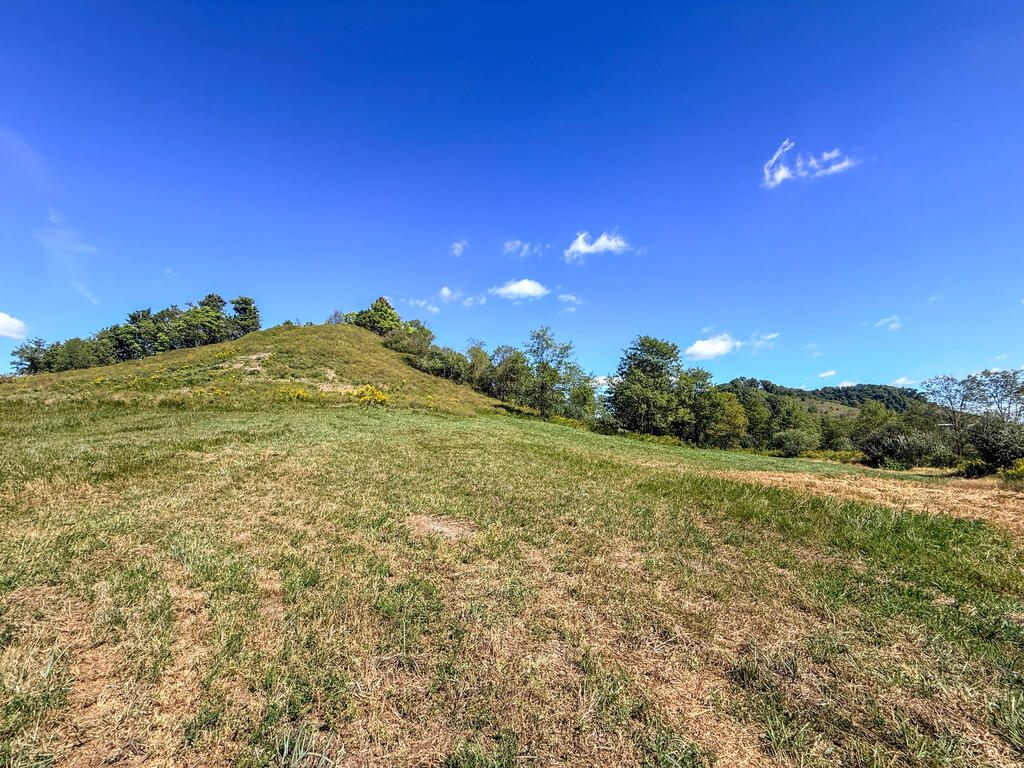 0 Us-460/coalfields Expressway Property Photo 31