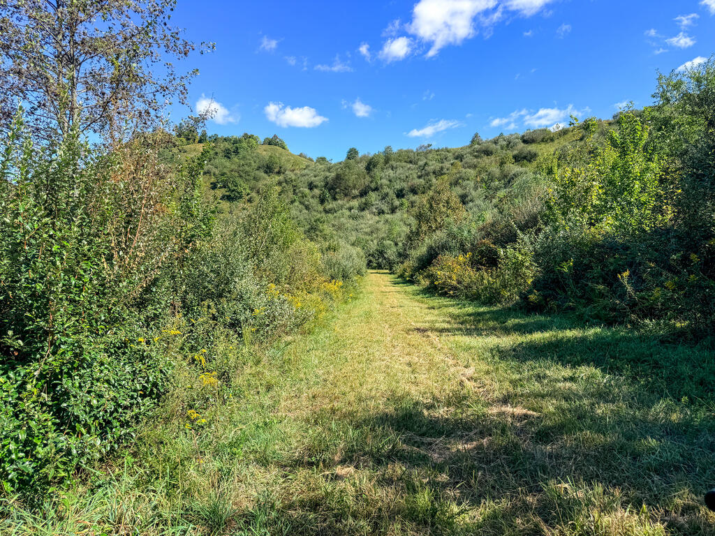 0 Us-460/coalfields Expressway Property Photo 33