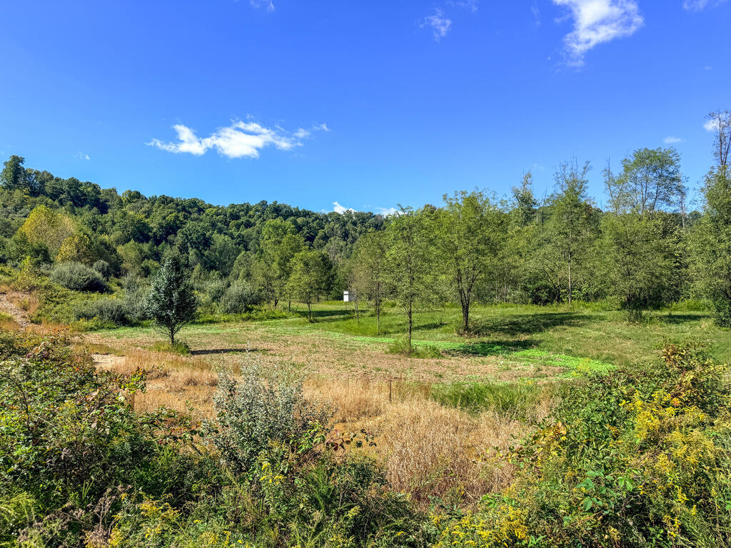 0 Us-460/coalfields Expressway Property Photo 35
