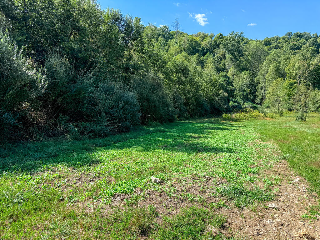0 Us-460/coalfields Expressway Property Photo 39