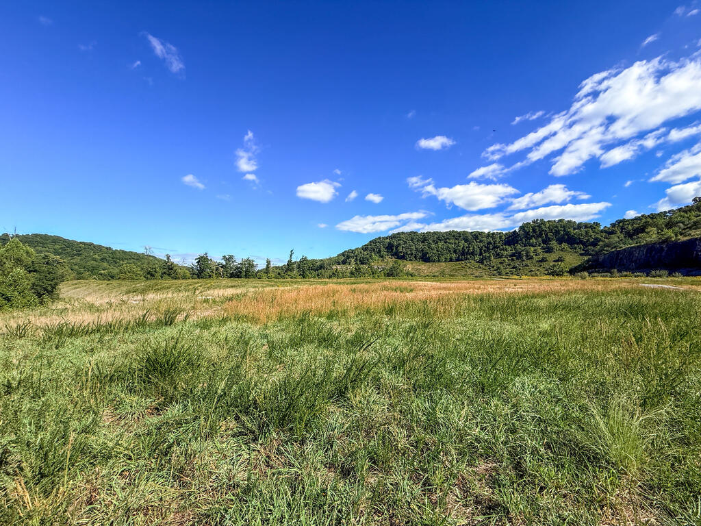 0 Us-460/coalfields Expressway Property Photo 40