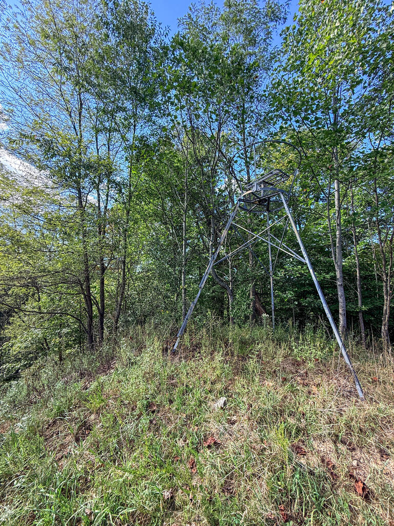 0 Us-460/coalfields Expressway Property Photo 45