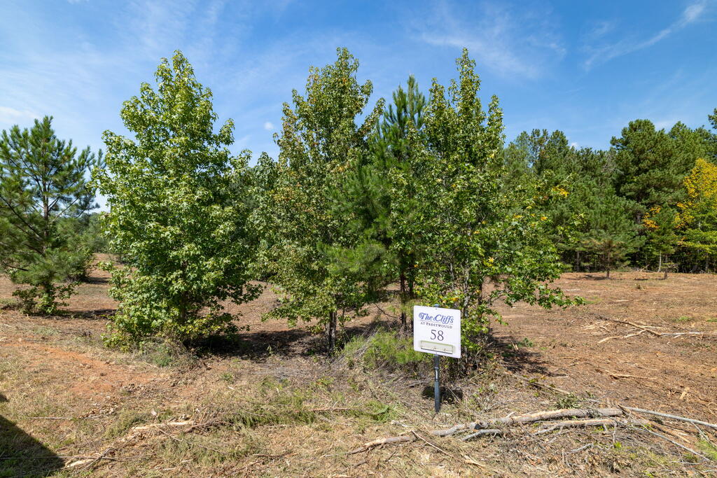 7 Berkeley Drive Property Photo 3