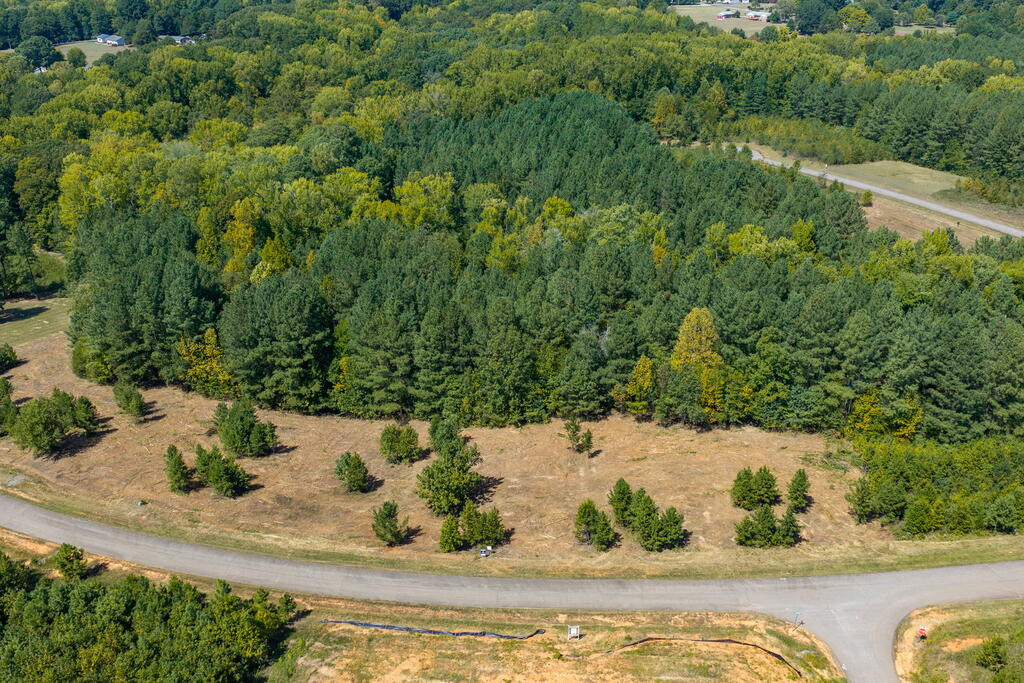 7 Berkeley Drive Property Photo 32
