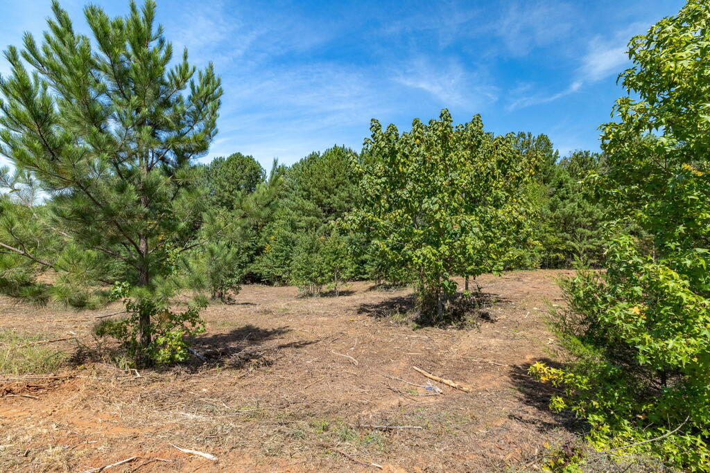 8 Berkeley Drive Property Photo 2