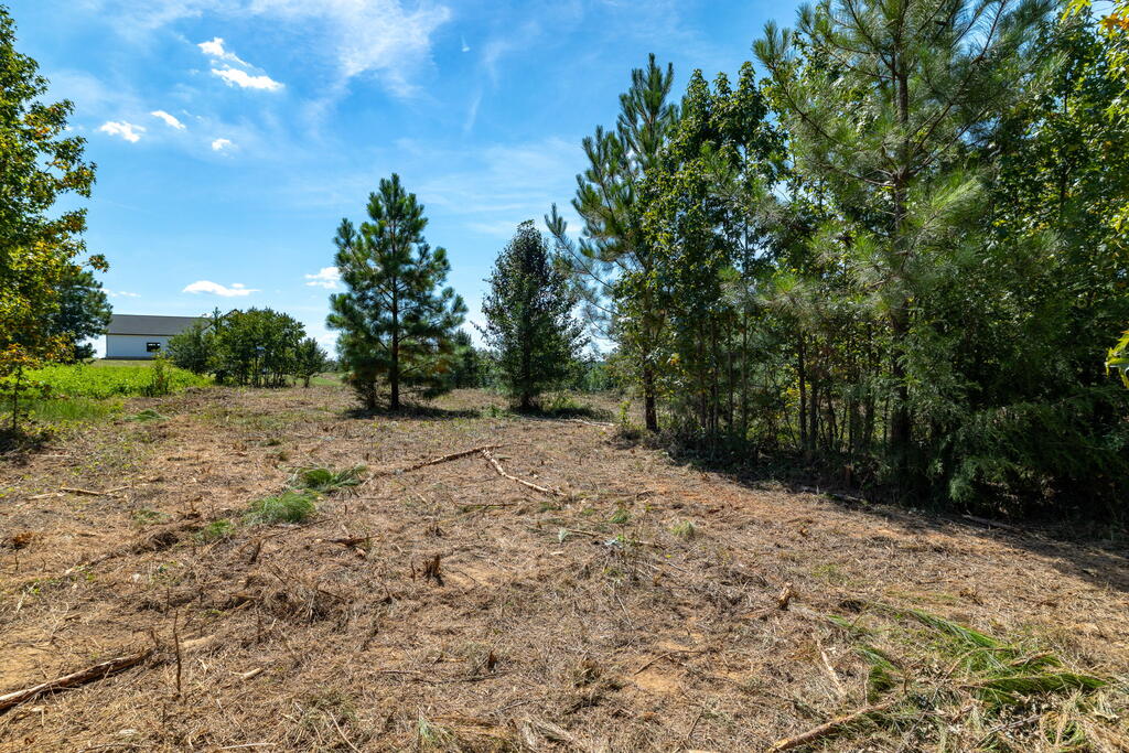 8 Berkeley Drive Property Photo 7