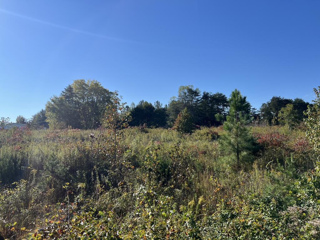 3 Acres Amber Court Property Photo 1