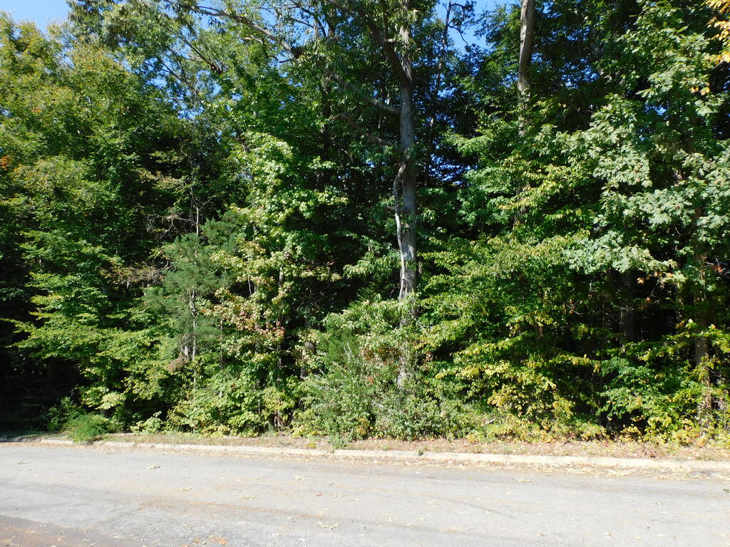.48 Acre Merritt Street Property Photo 1