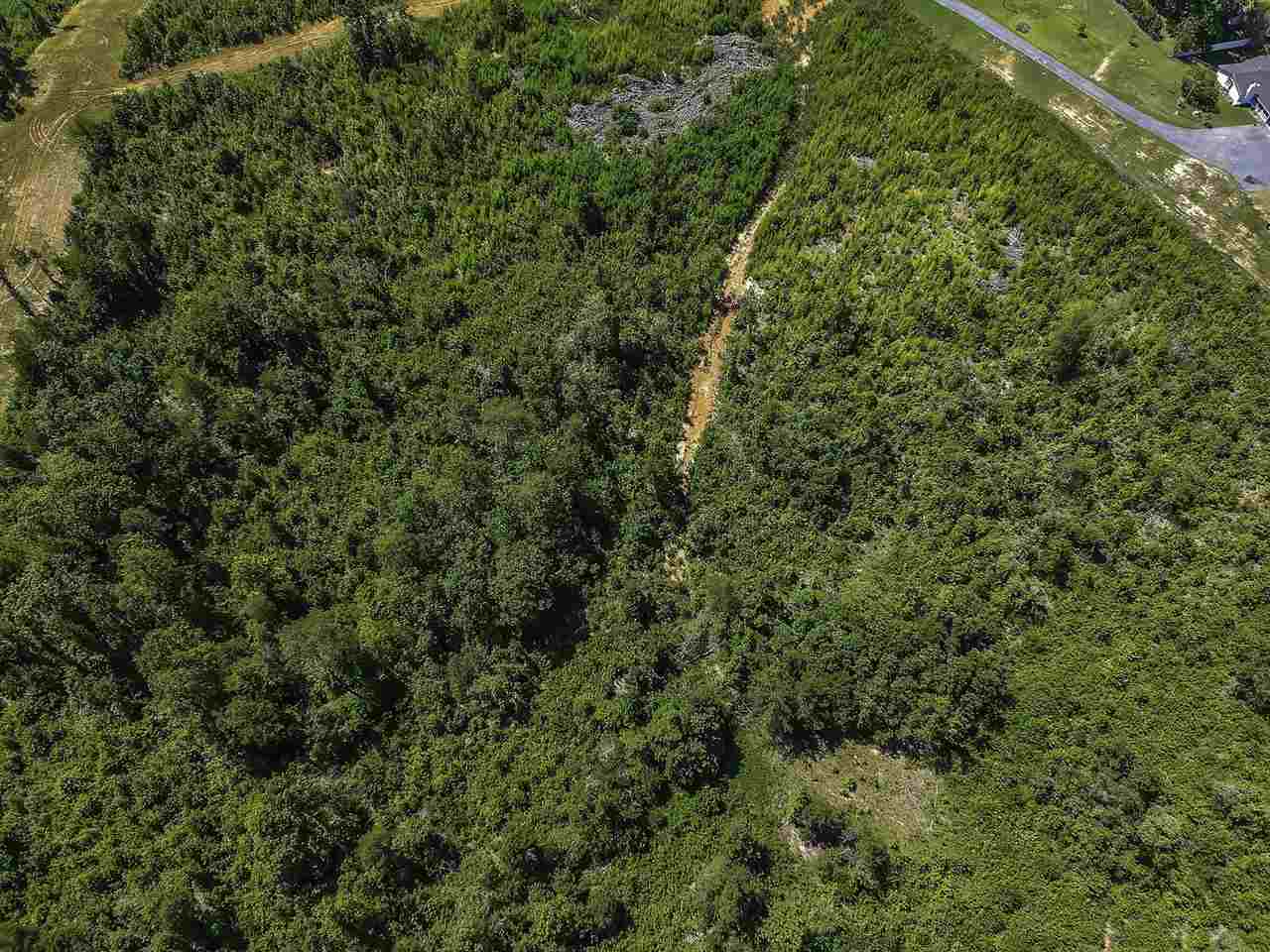 270475 Property Photo 13