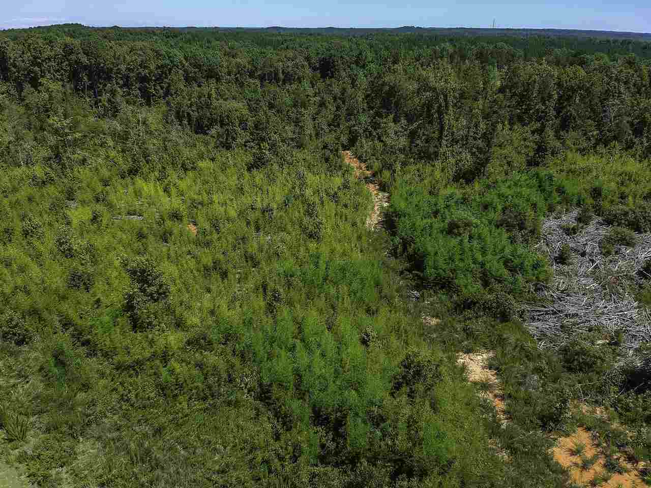 270475 Property Photo 14