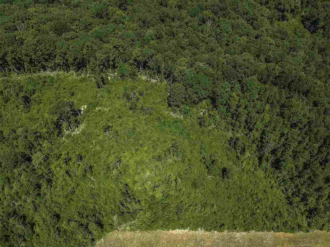 270475 Property Photo 15