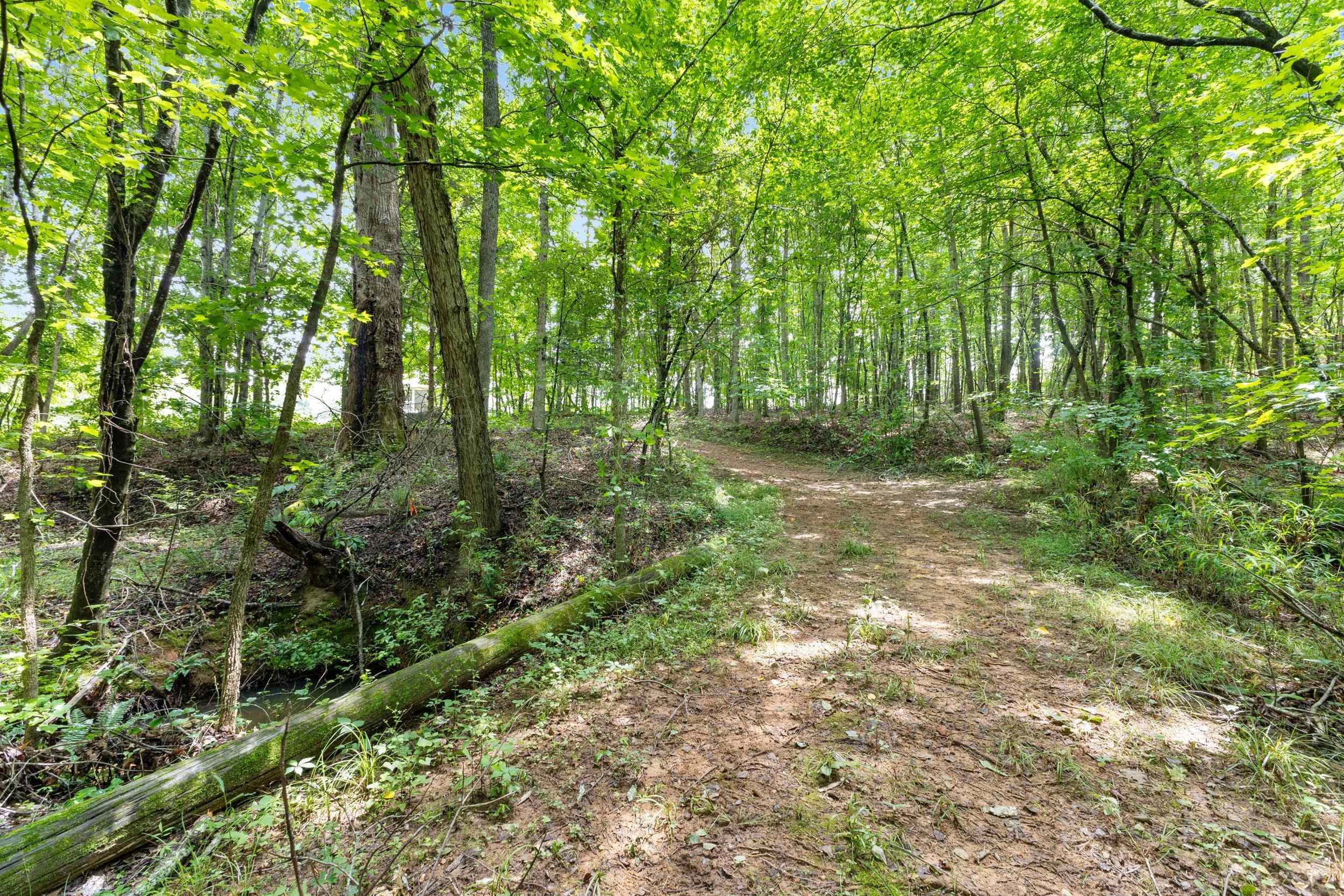 1295 Twin Bridge Road Property Photo 33
