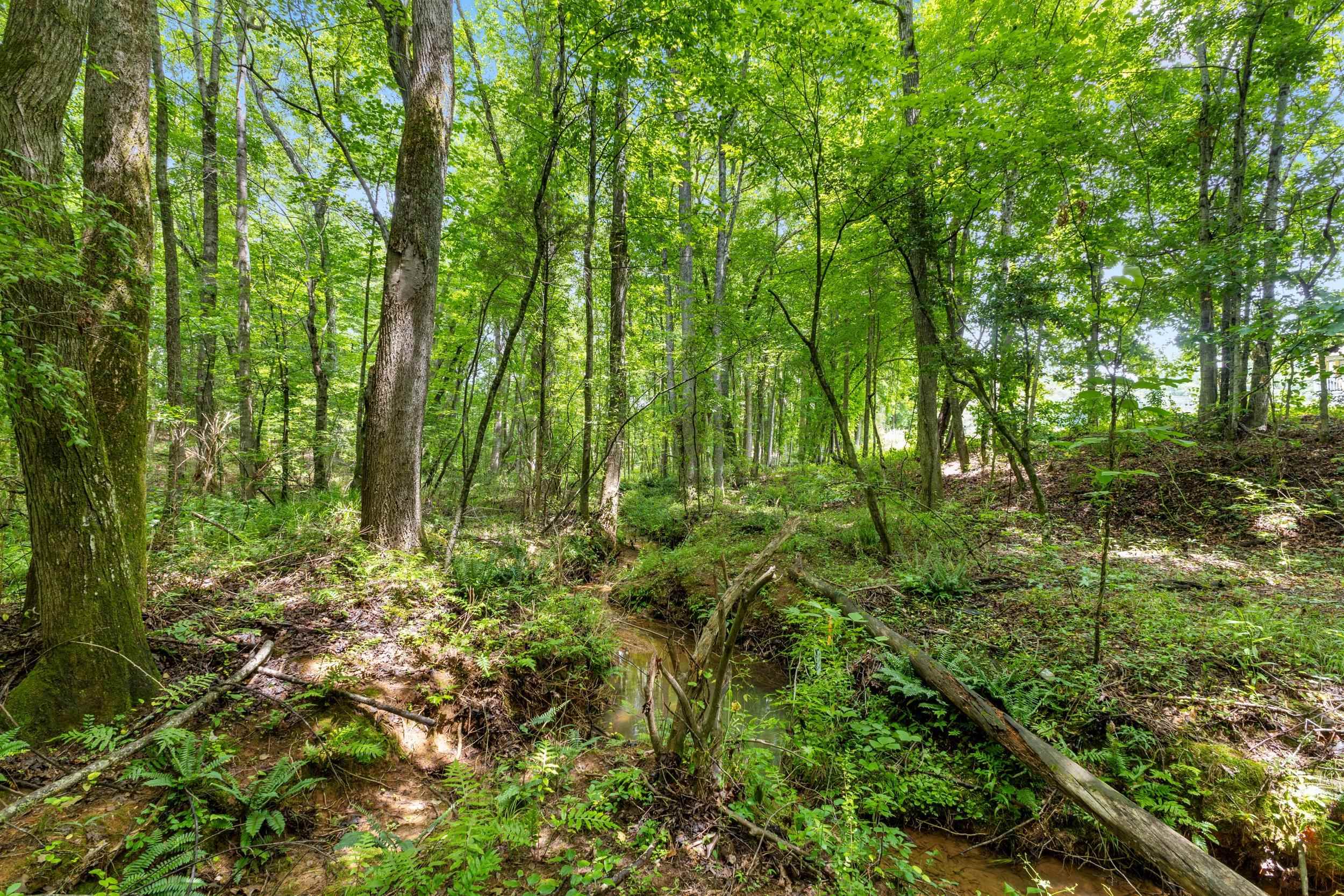 1295 Twin Bridge Road Property Photo 34