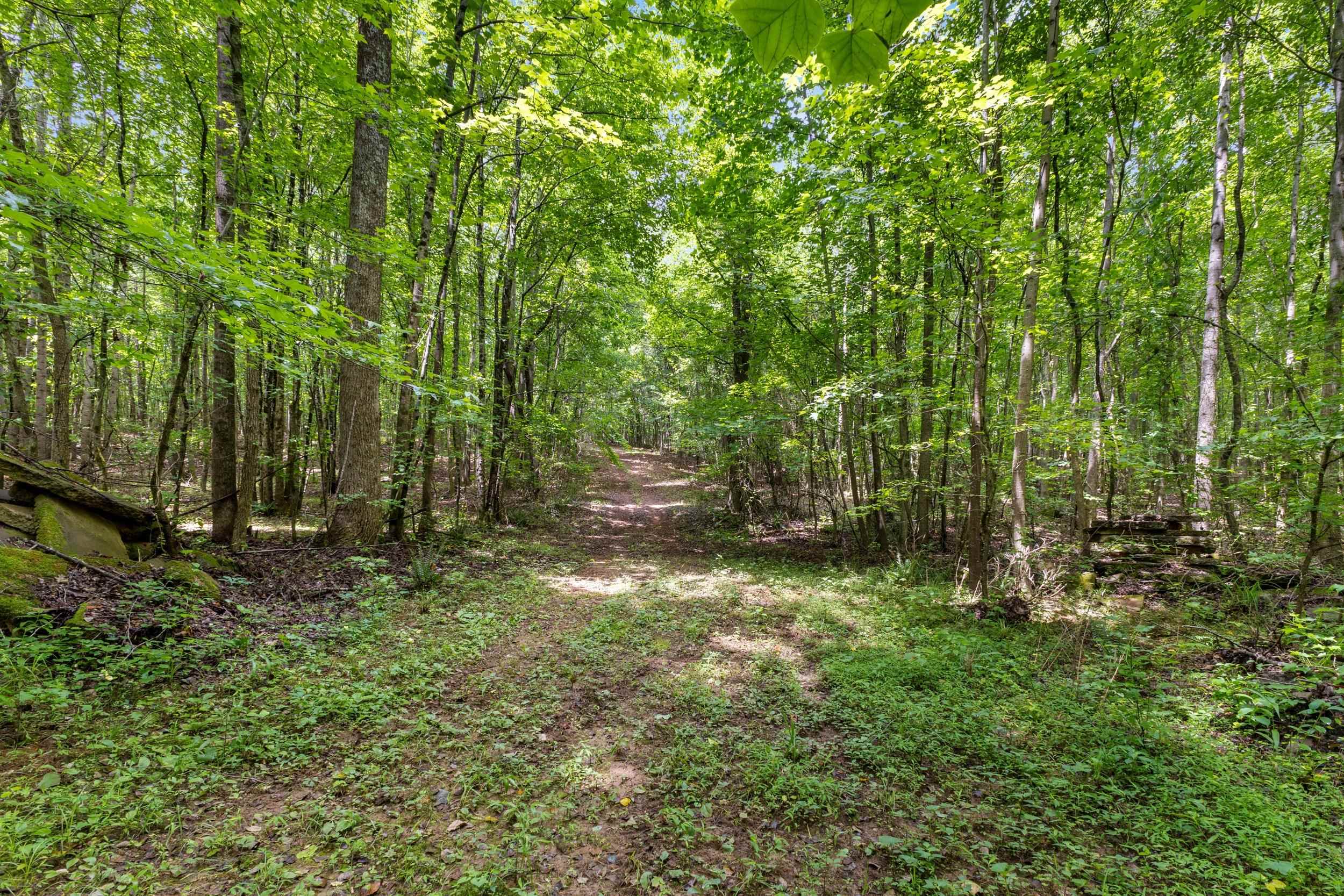 1295 Twin Bridge Road Property Photo 36