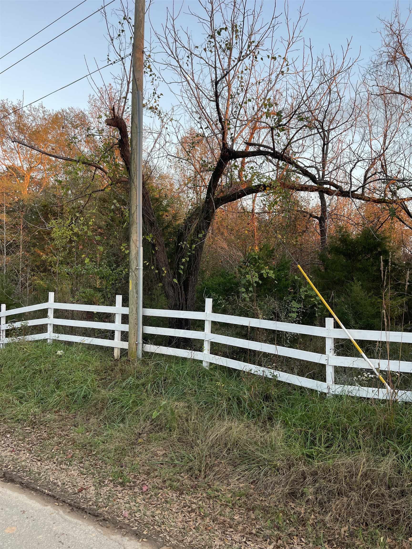 317094 Property Photo 6