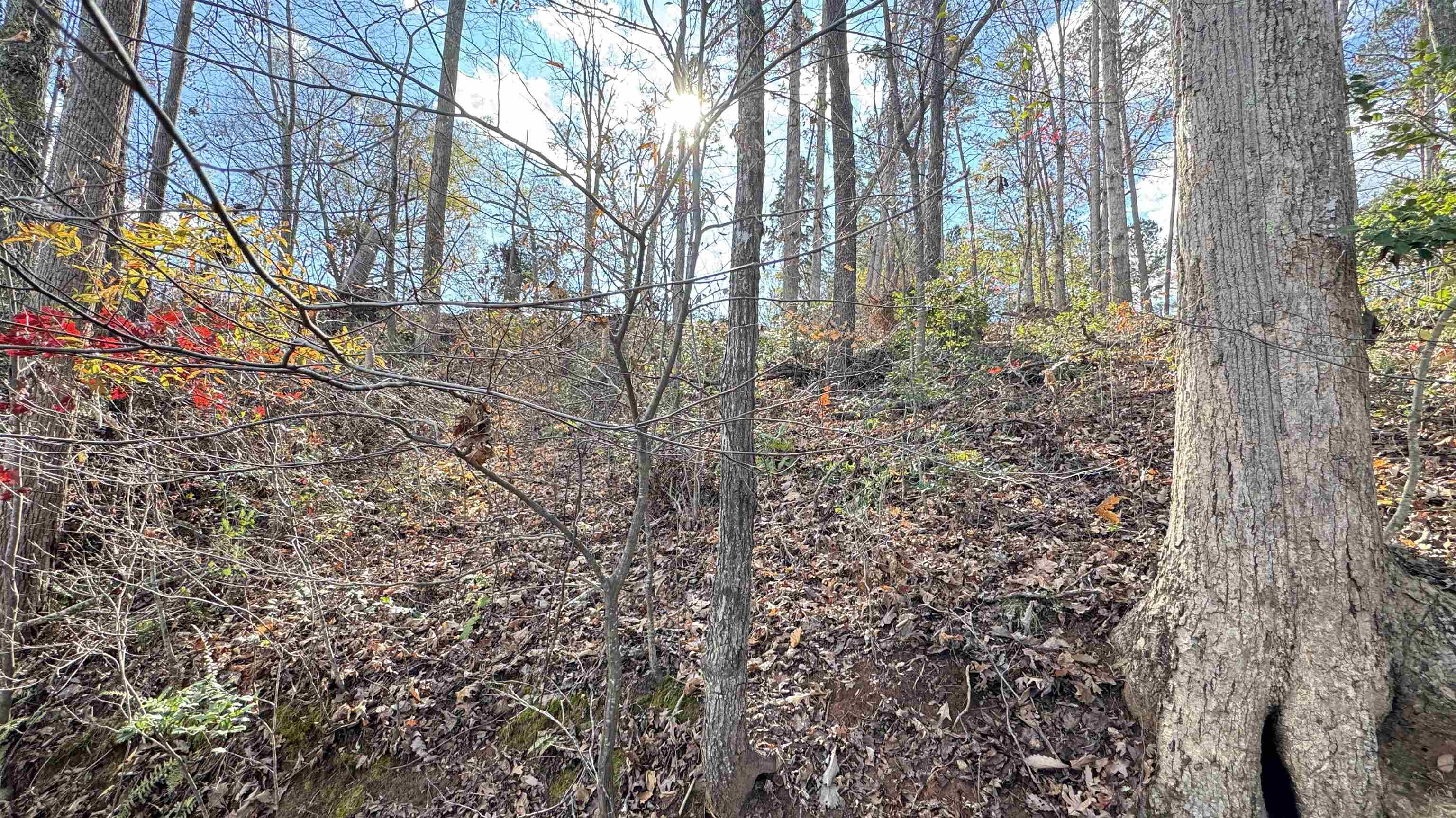 Property Photo 15