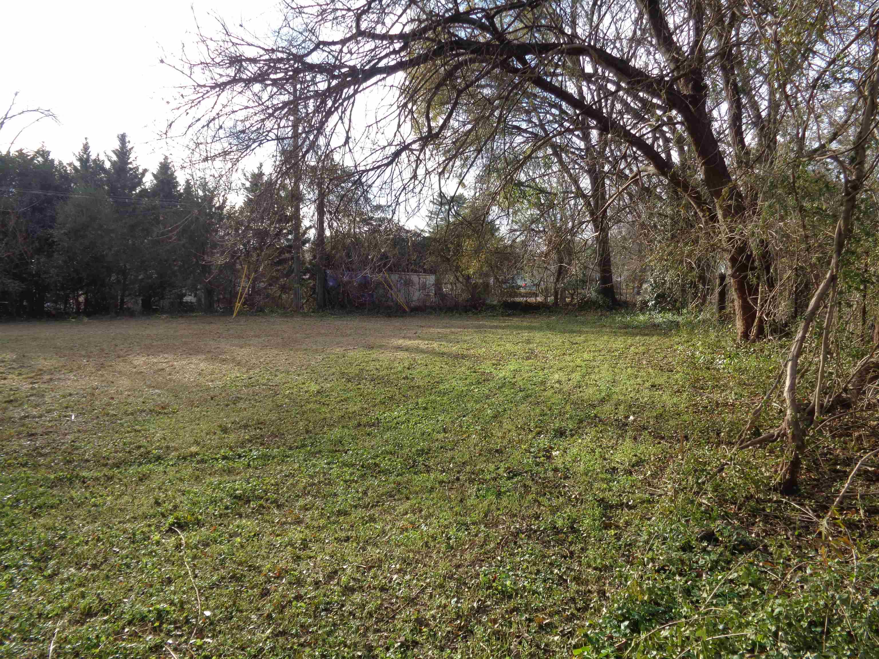 19 Pine Street Property Photo 26
