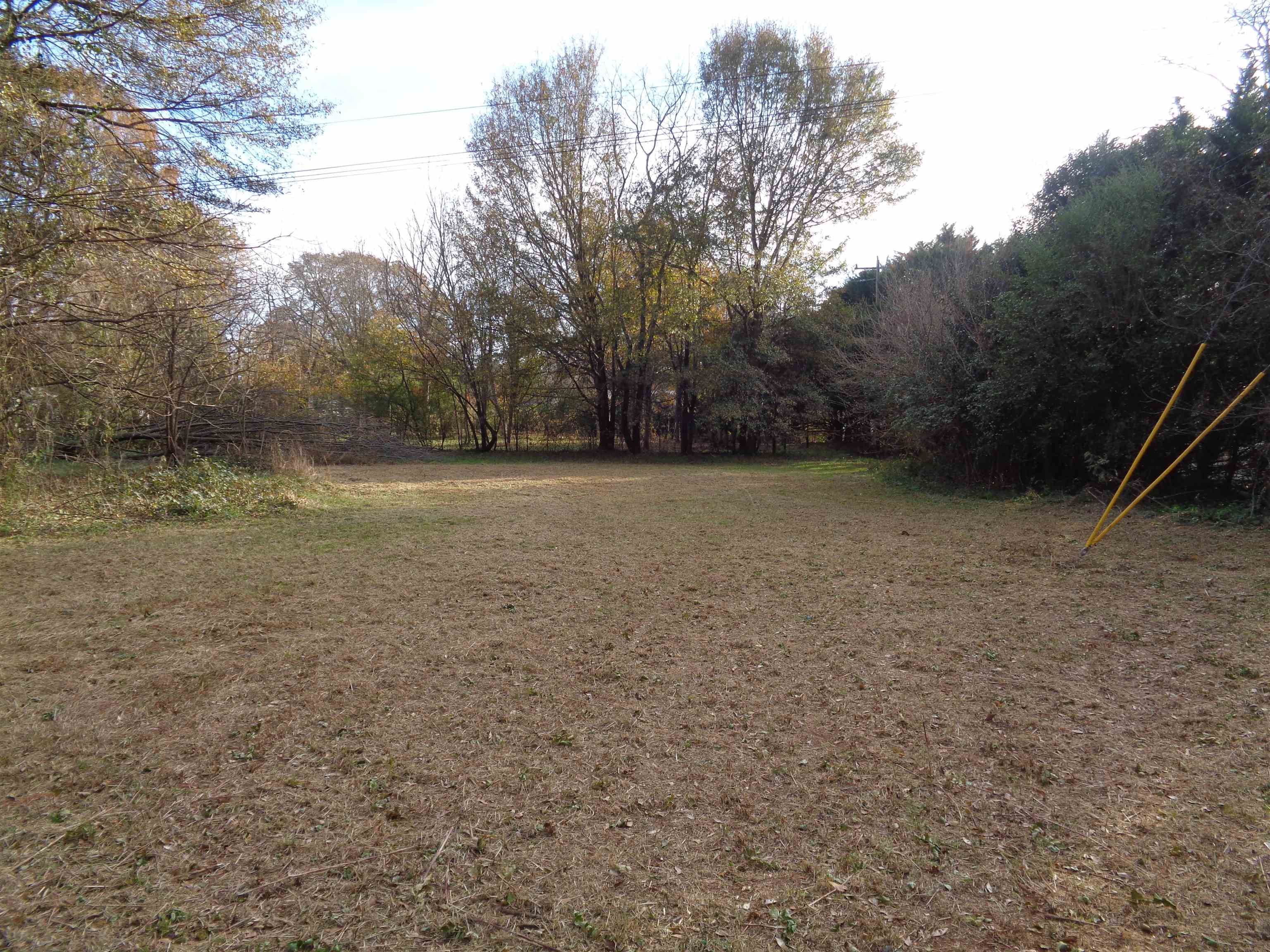 19 Pine Street Property Photo 28