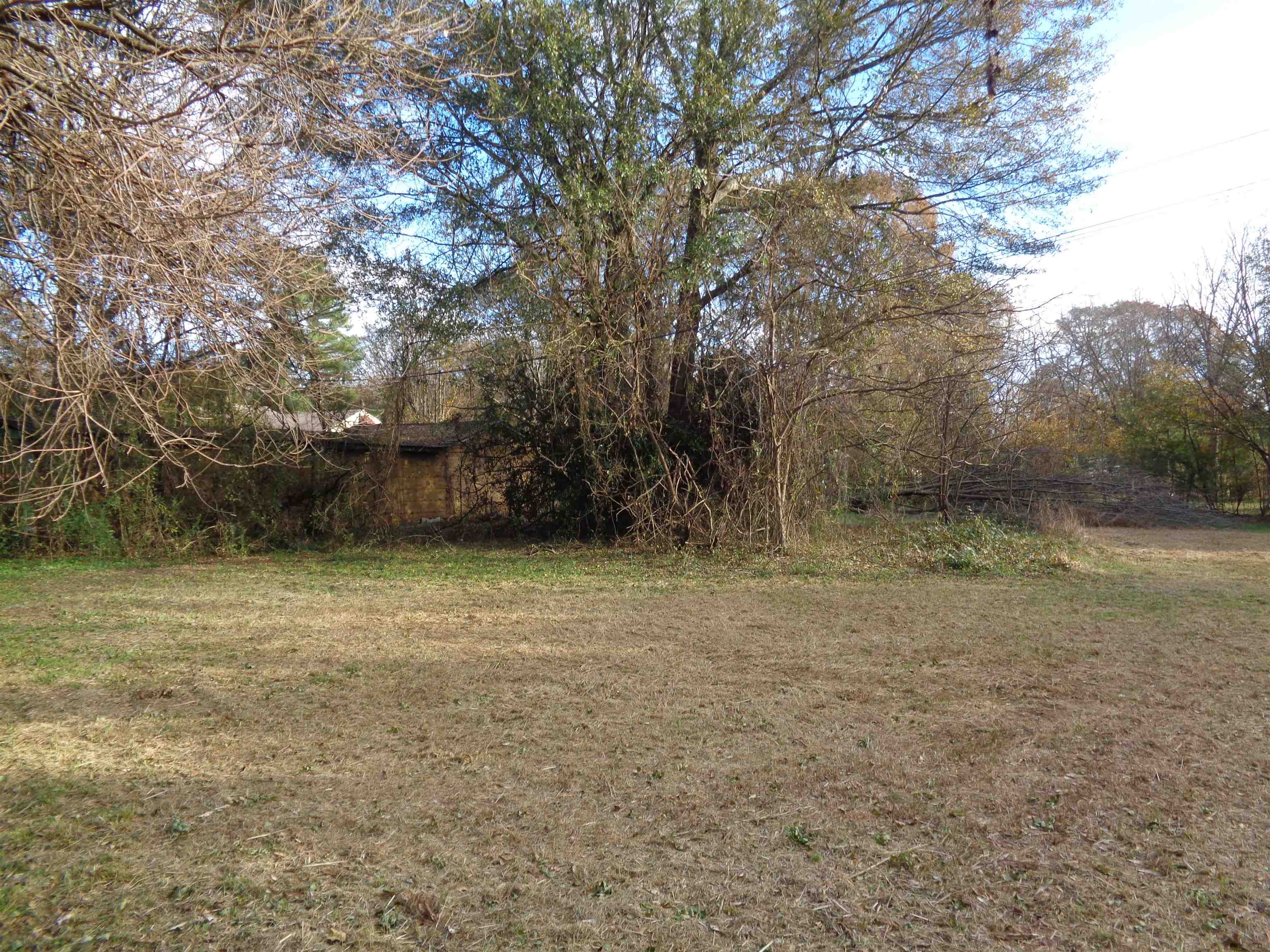 19 Pine Street Property Photo 29