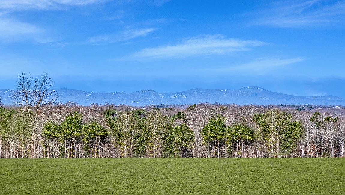 308 Ridge Climb Trail Property Photo 2