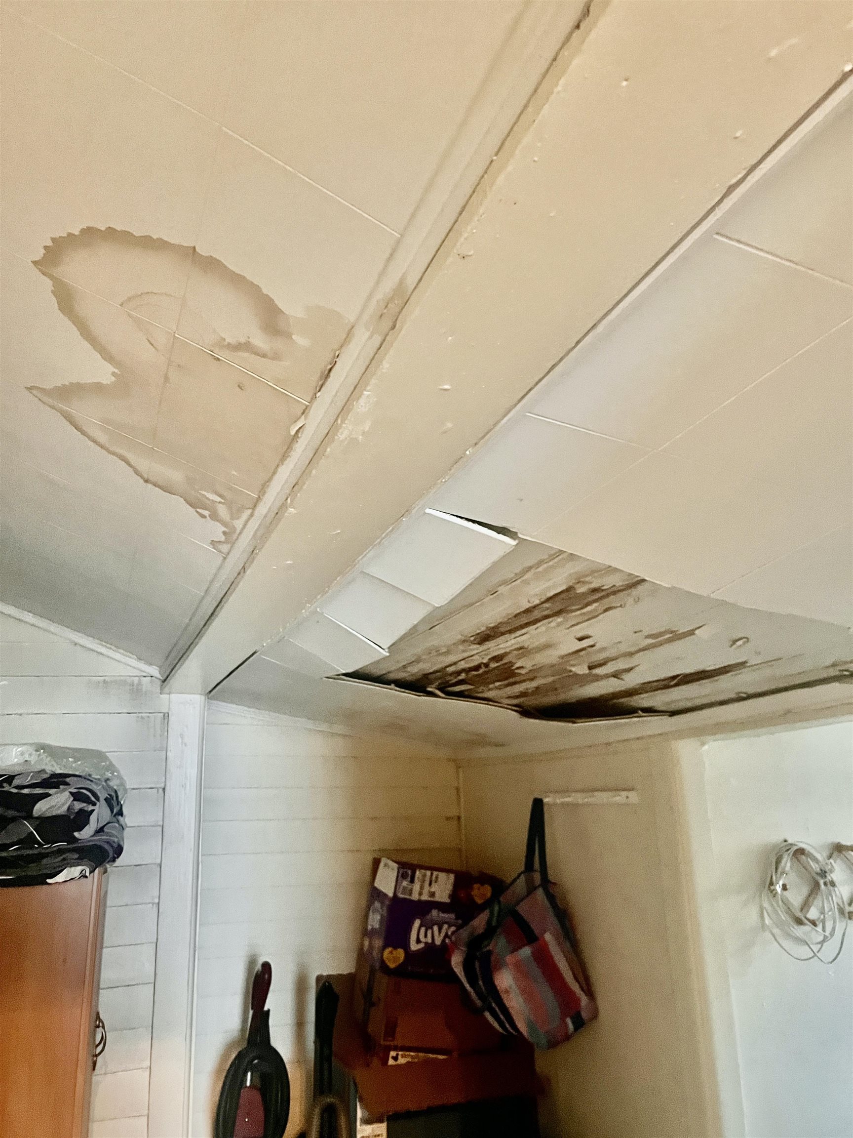 106 Plonk St Property Photo 10