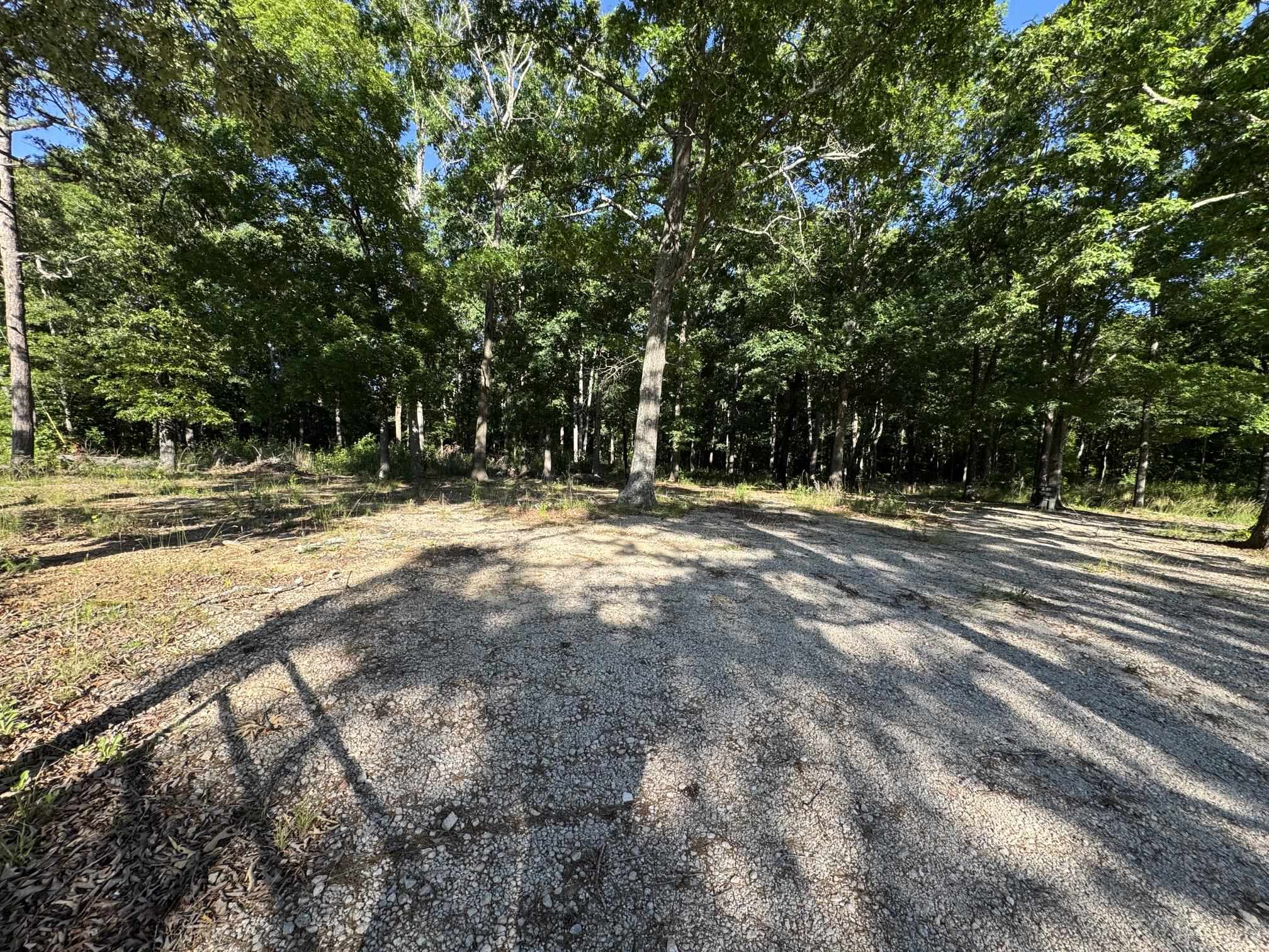 319109 Property Photo 4