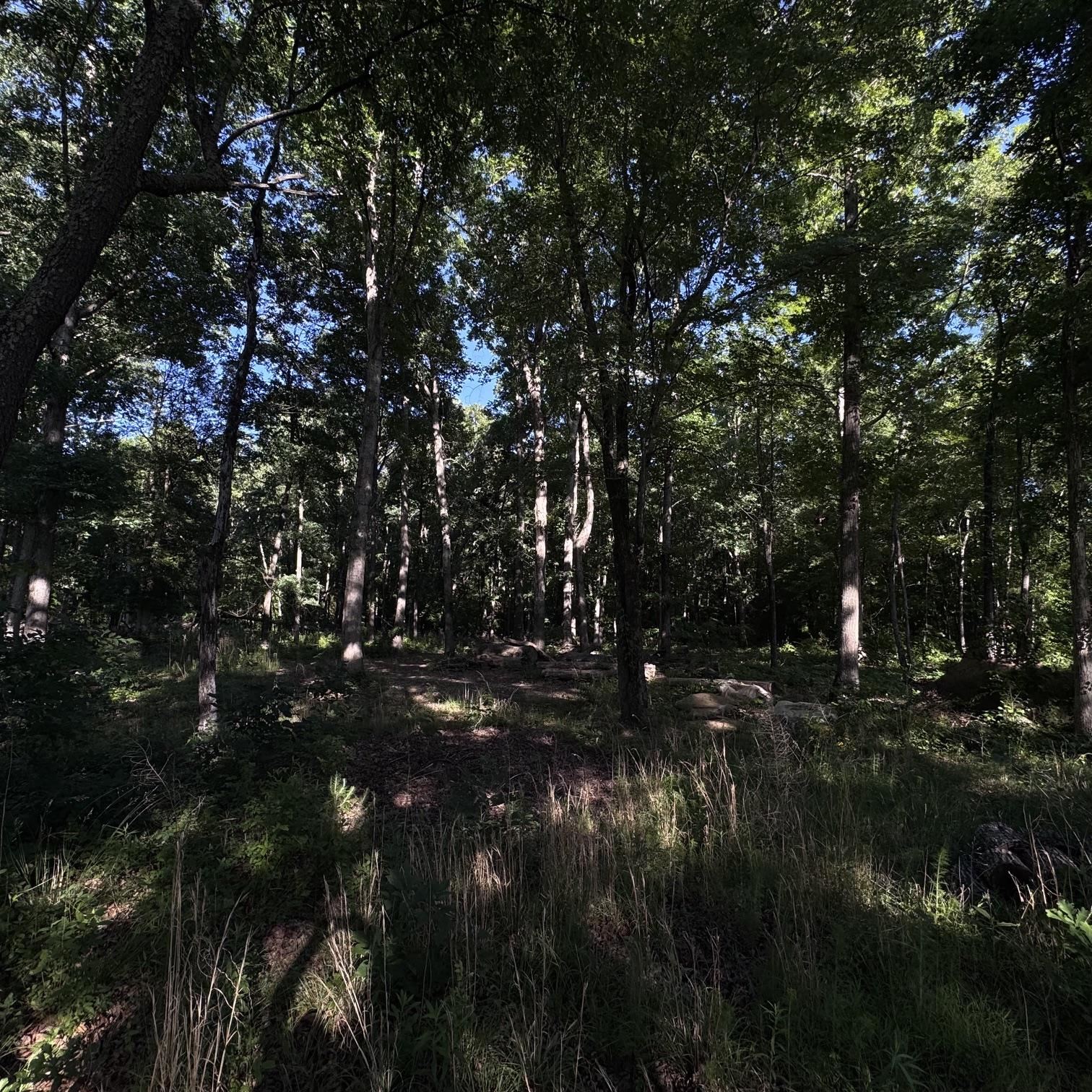 319109 Property Photo 5