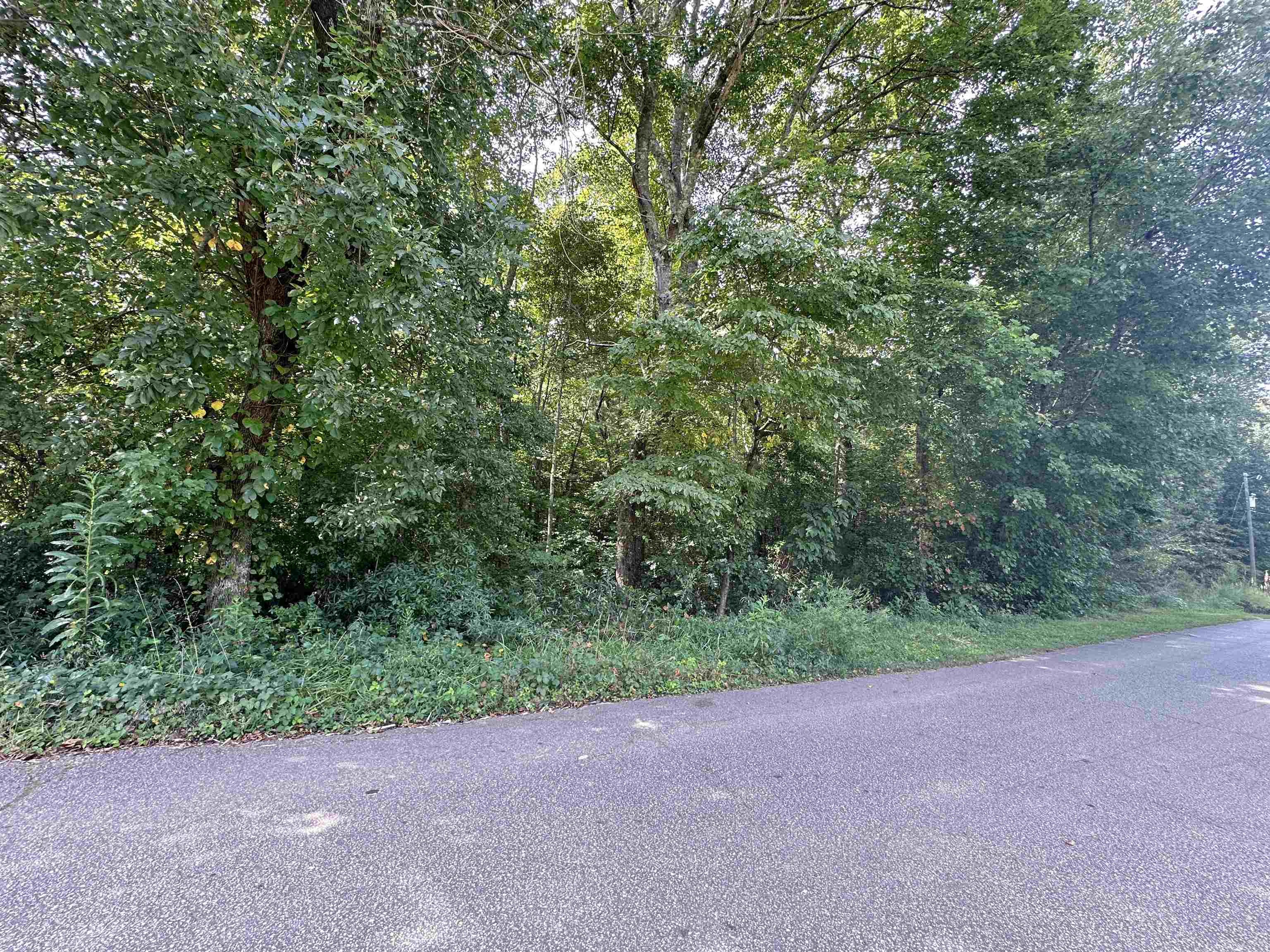 319448 Property Photo