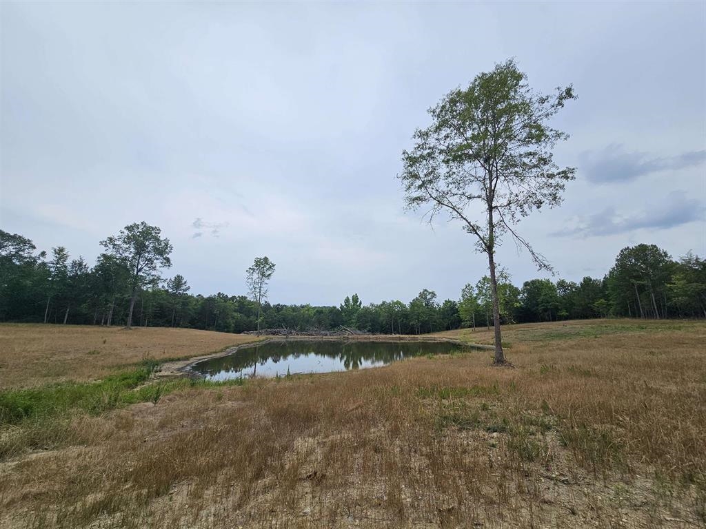 319709 Property Photo 1