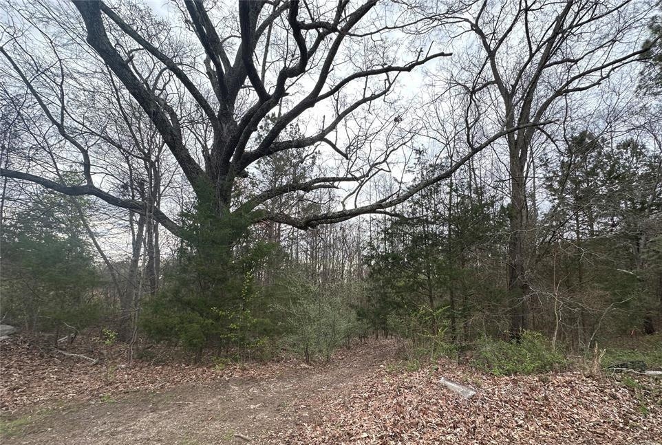 Pacelot Real Estate Listings Main Image
