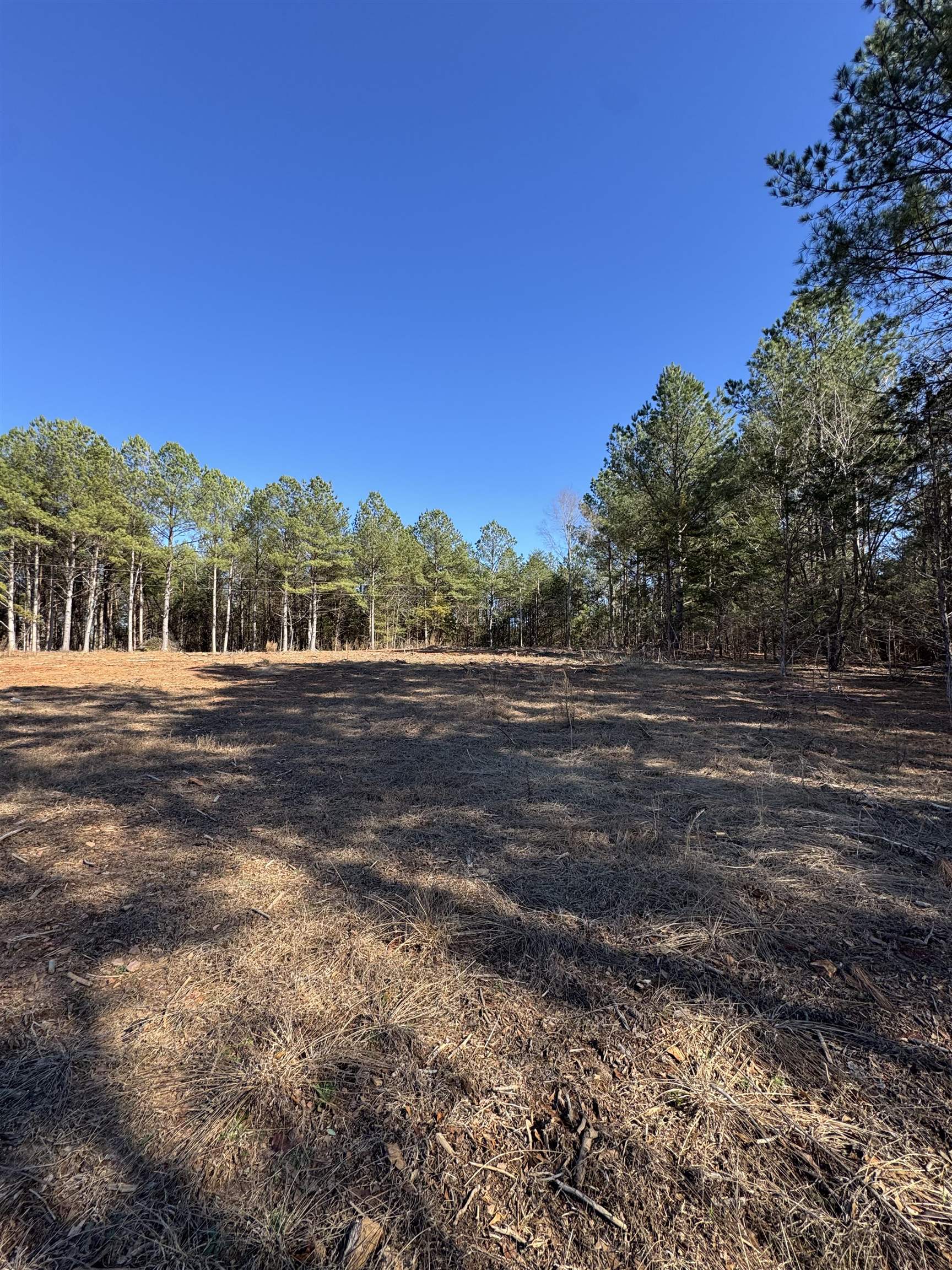 320174 Property Photo