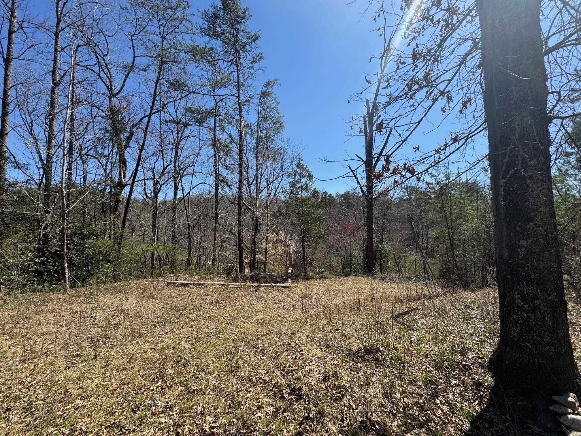 320786 Property Photo