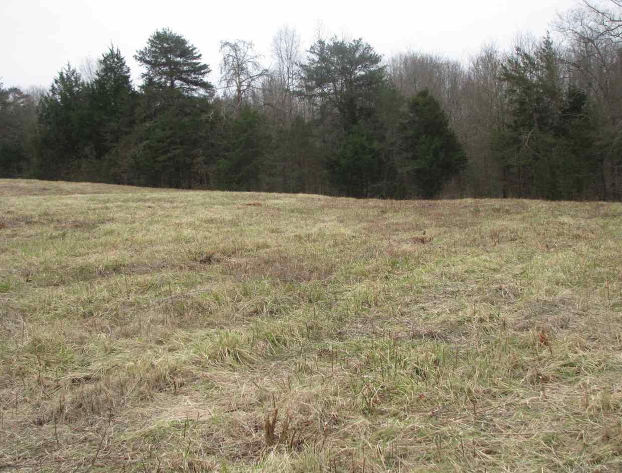 0 Grassy Pond Creek Road Property Photo