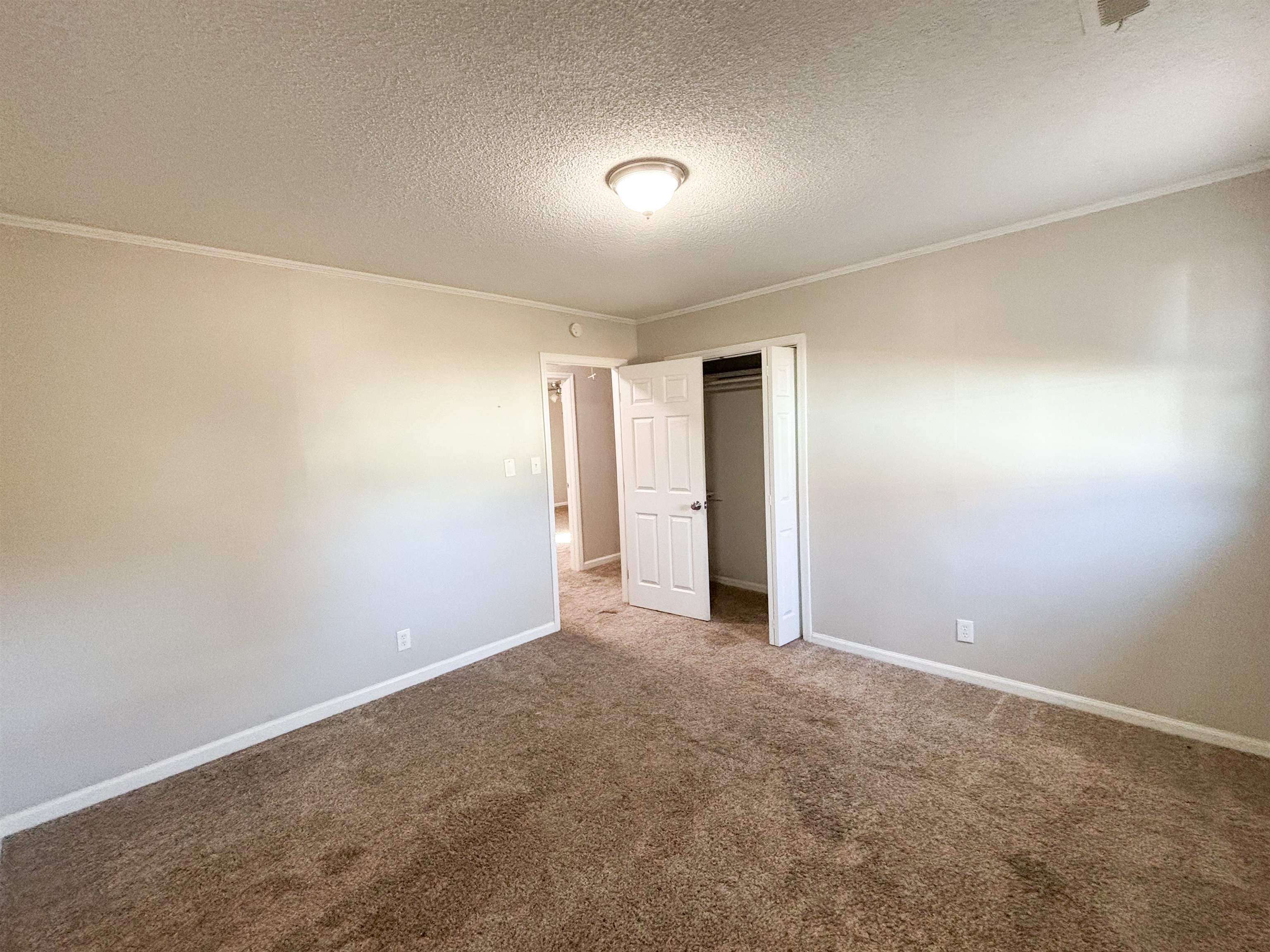 409 Elm St Property Photo 17