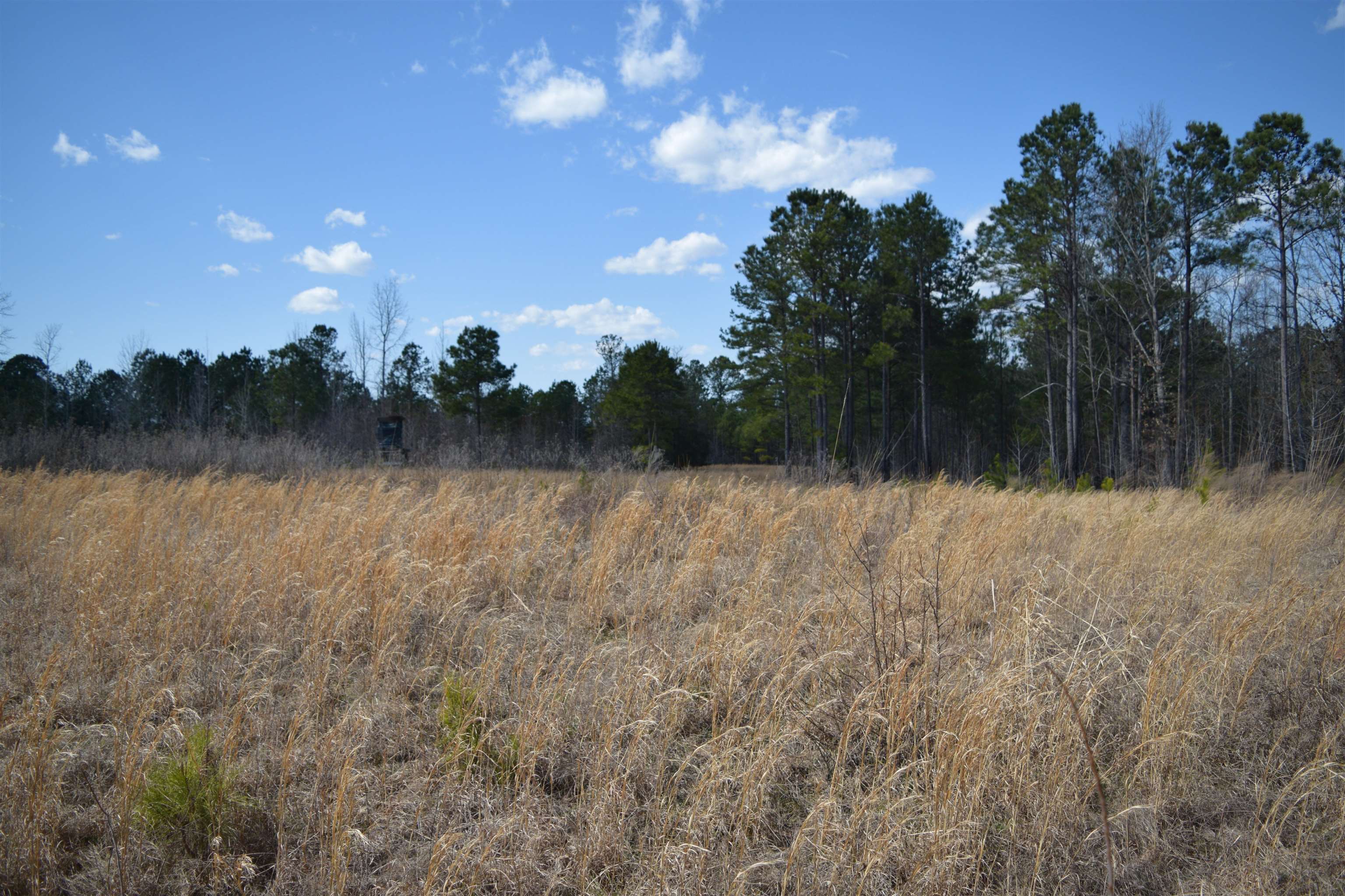 321302 Property Photo
