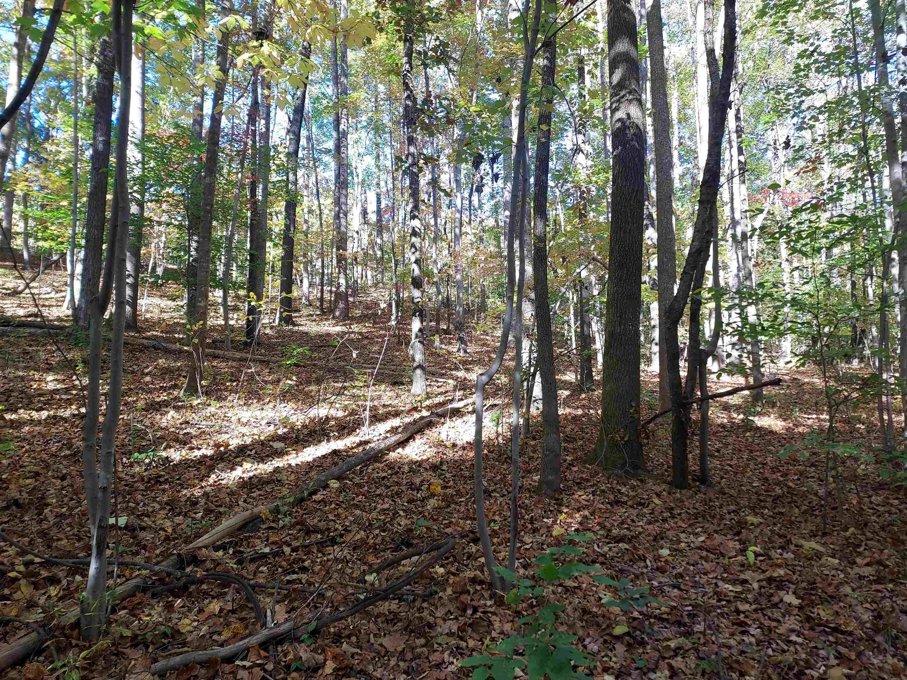 321310 Property Photo