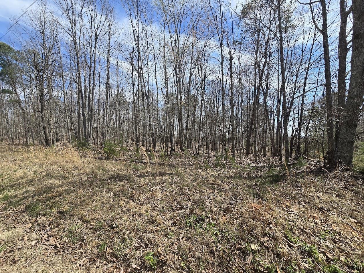 321485 Property Photo
