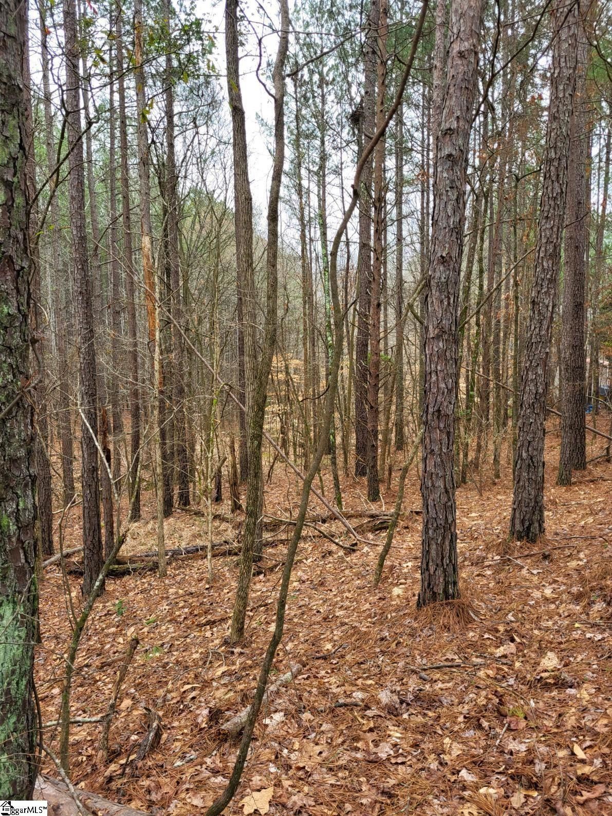 321531 Property Photo 1