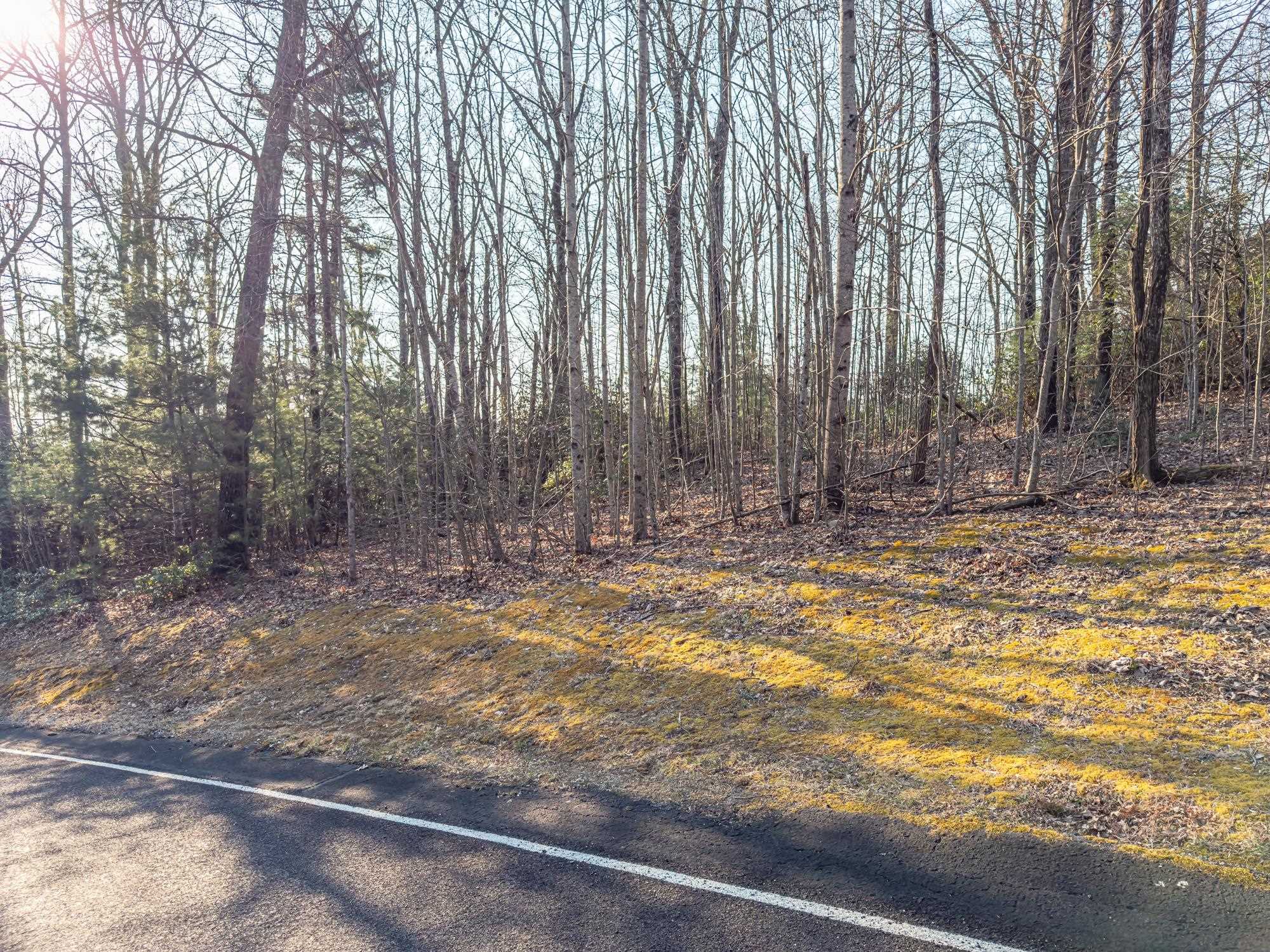 321927 Property Photo 6