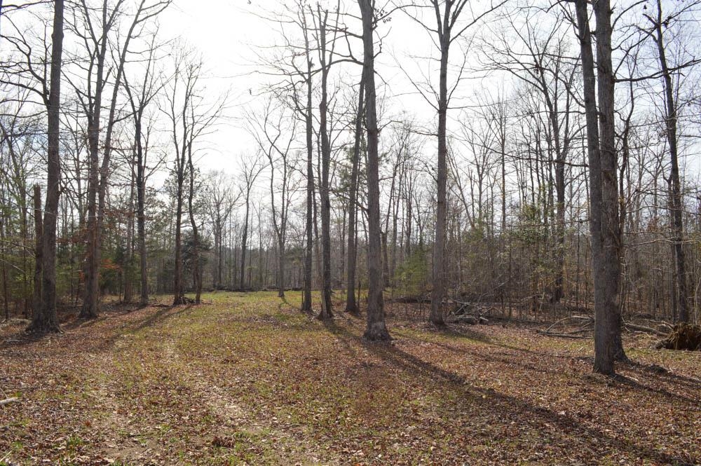 322230 Property Photo