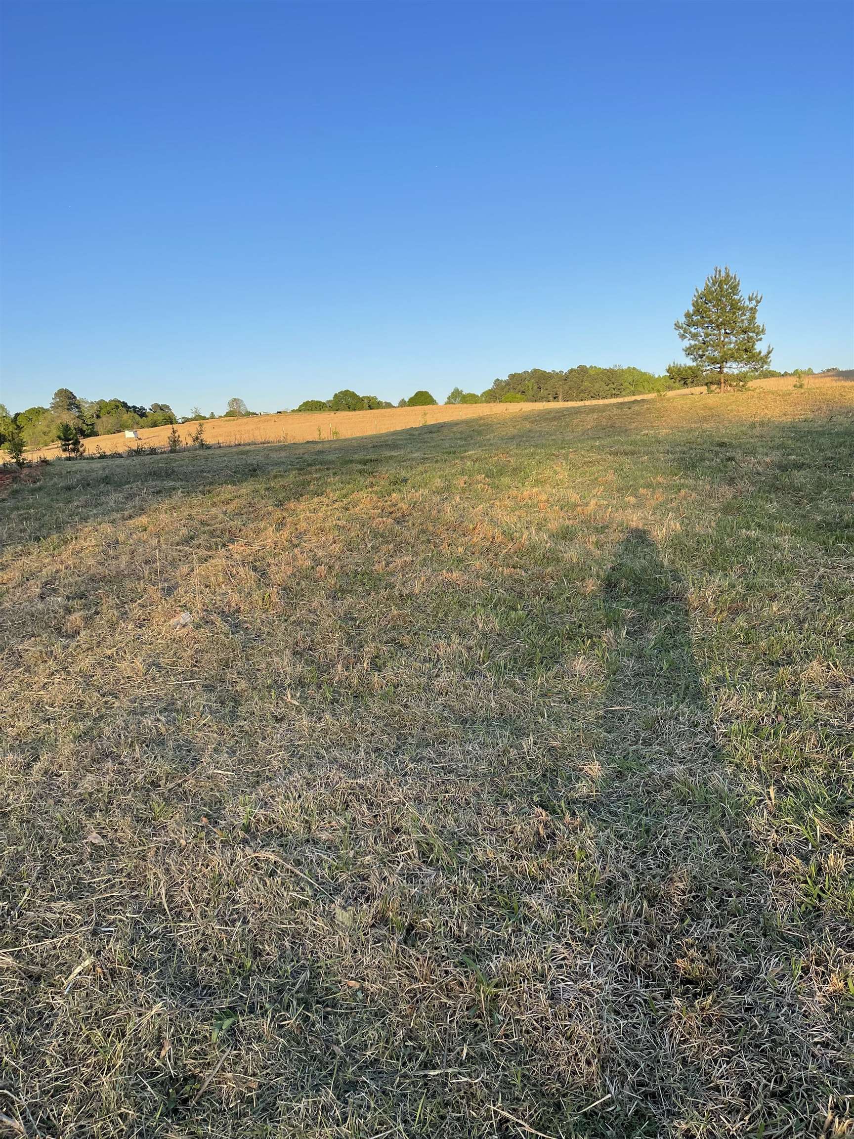 322687 Property Photo