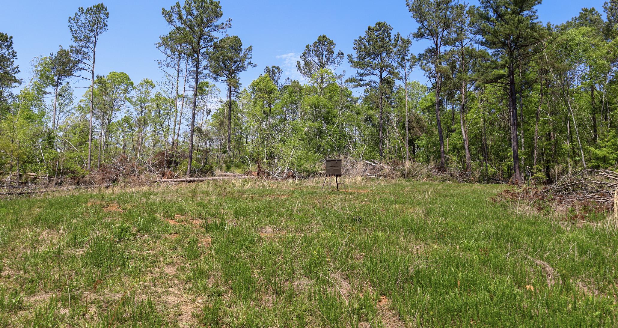 322780 Property Photo