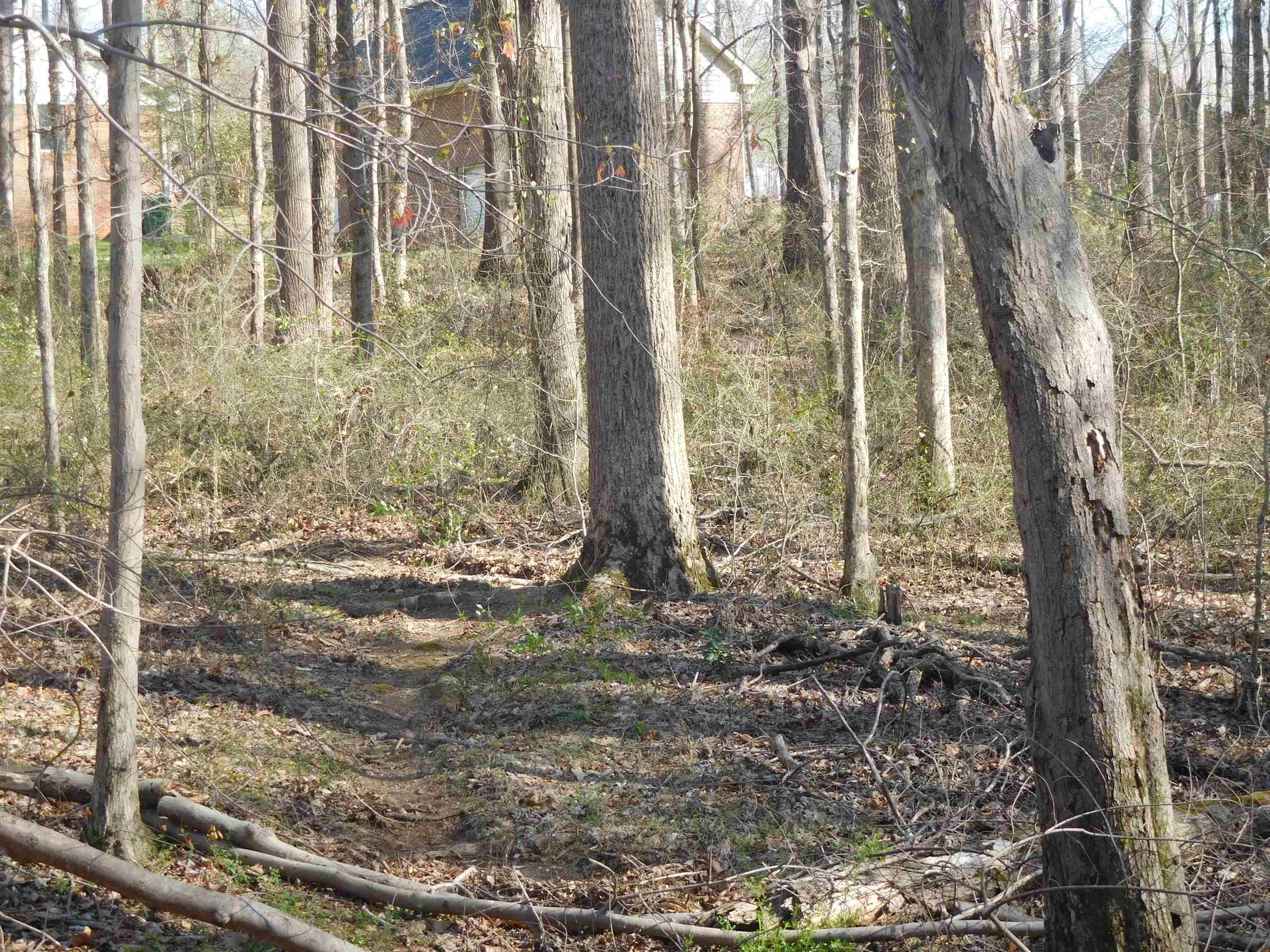 322975 Property Photo 2