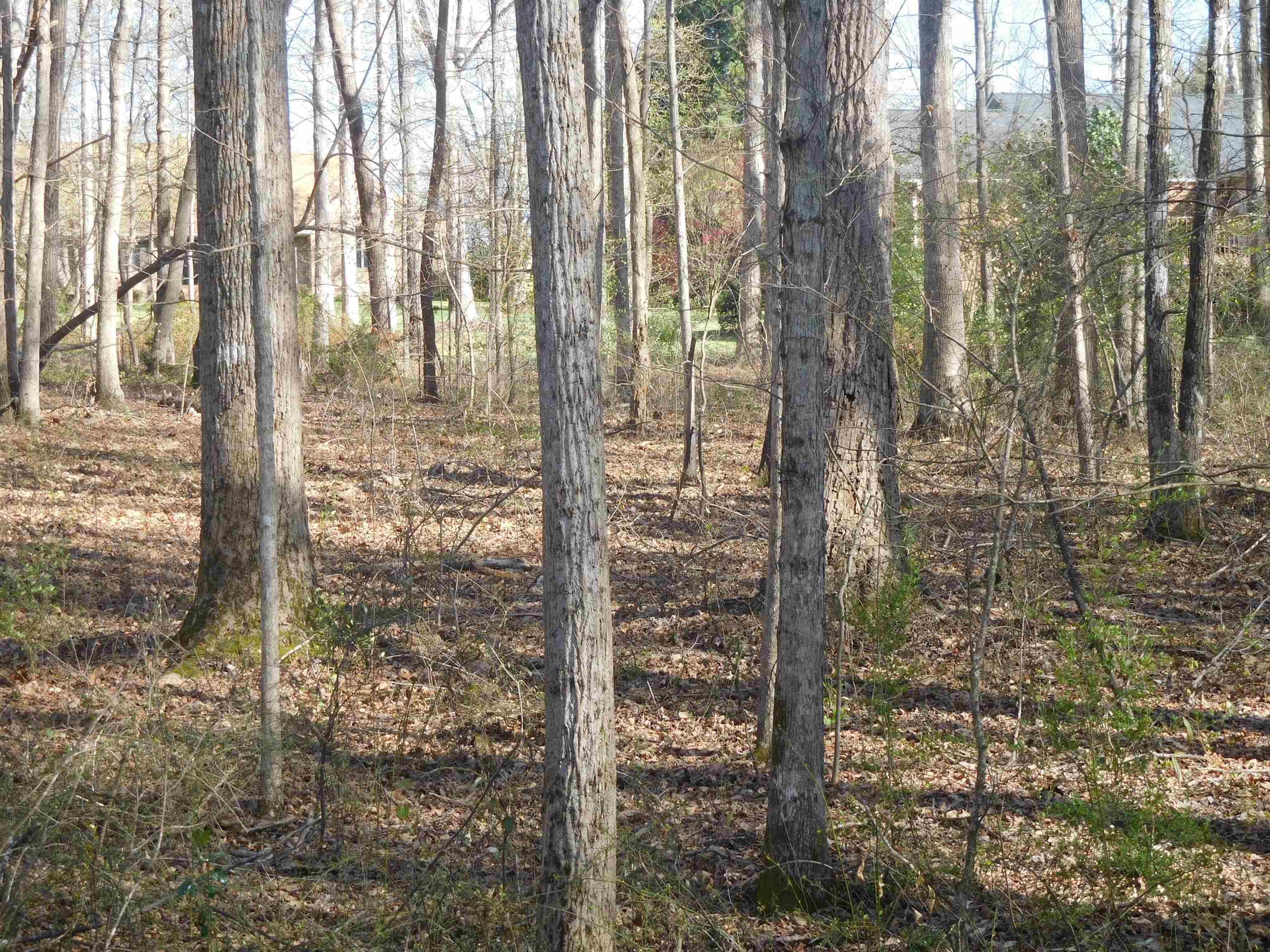 322975 Property Photo 3