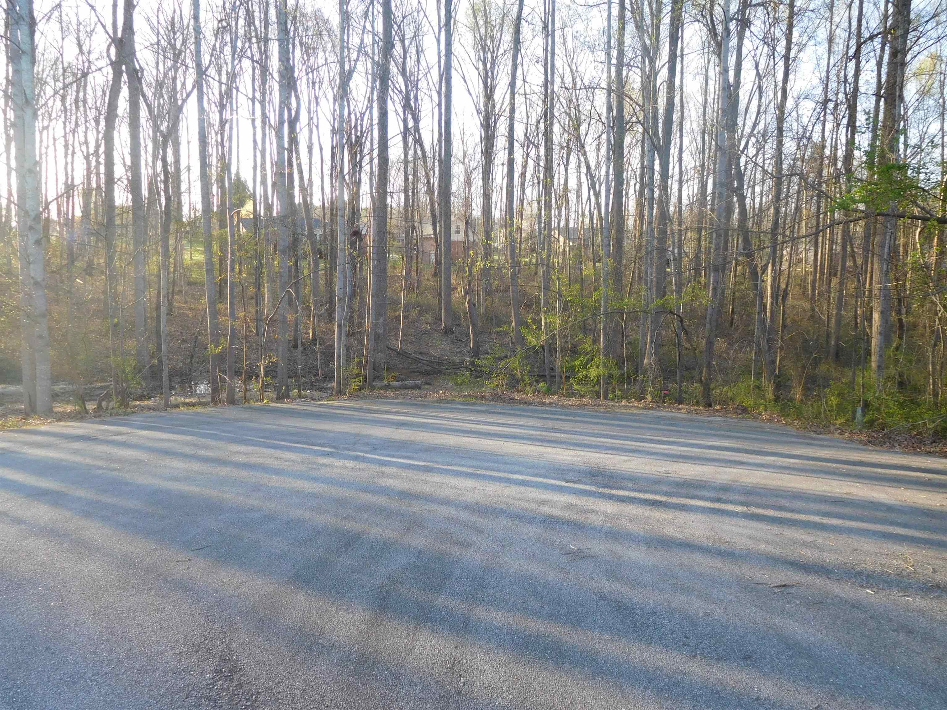 322975 Property Photo 4