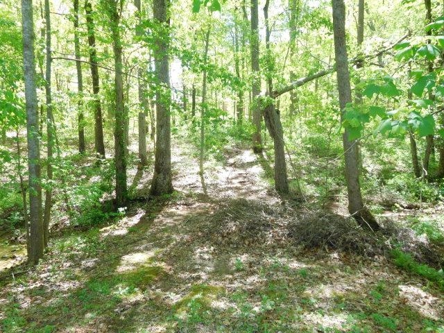 322975 Property Photo 5
